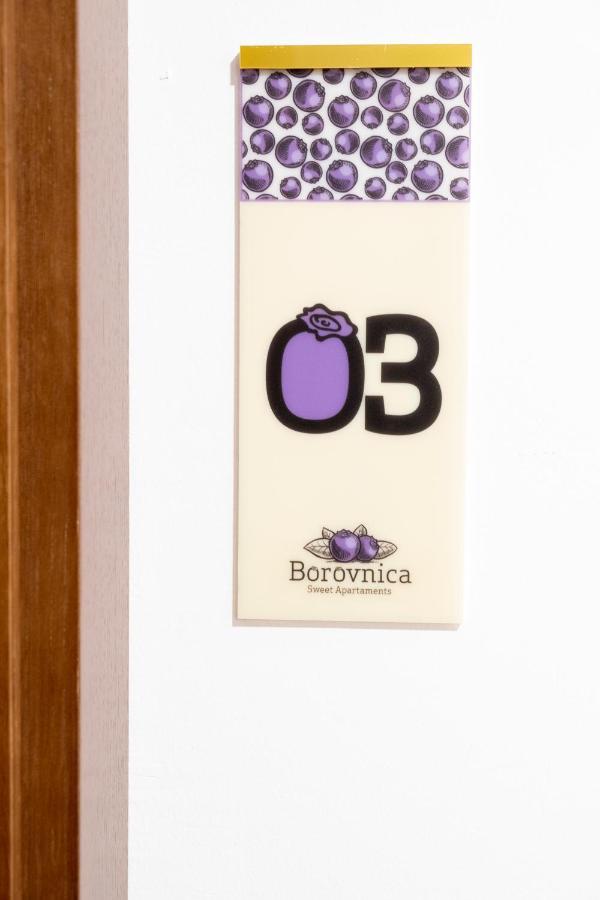 Borovnica Sweet Apartments Žabljak 外观 照片